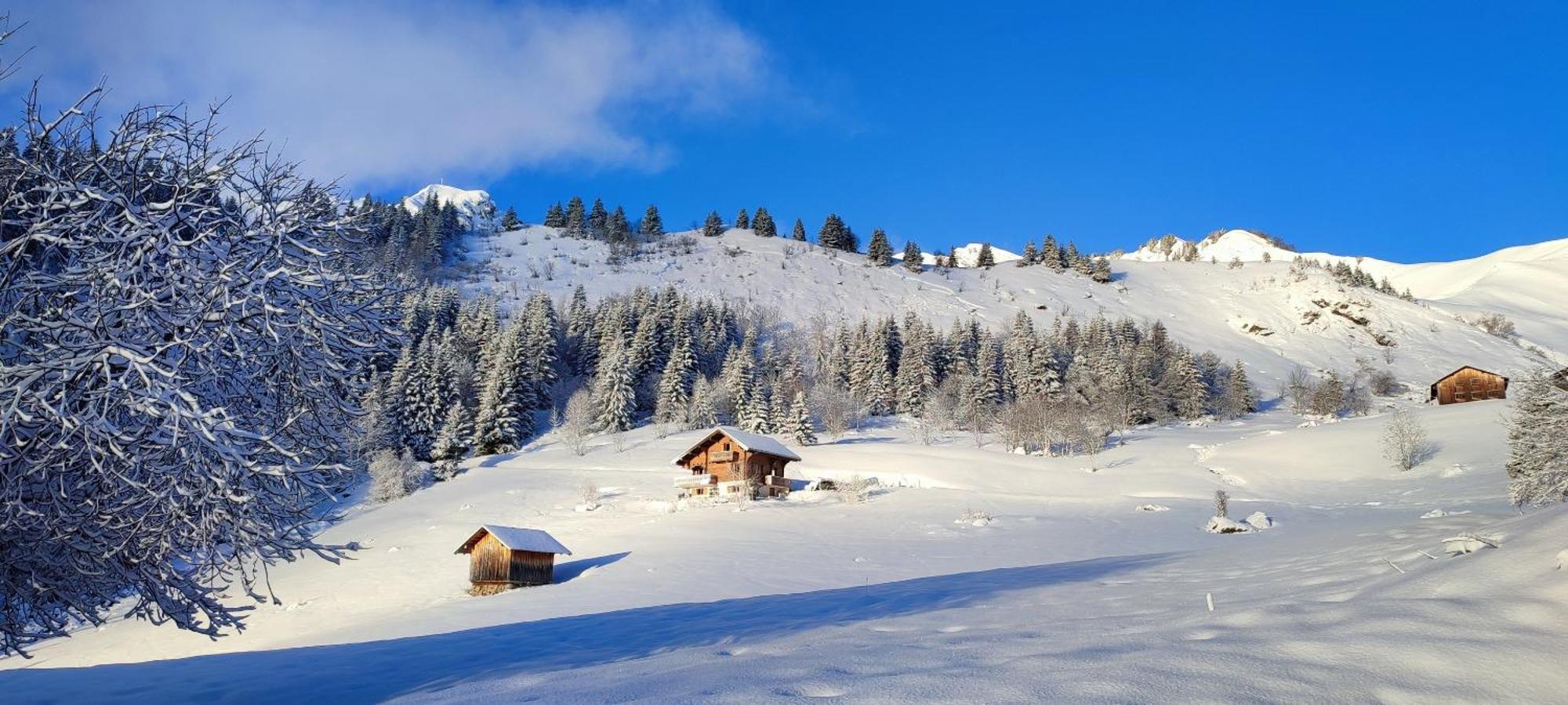 Le Taconet Hotel Le Praz de Lys Exterior photo